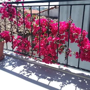 Casa Magnolia Boutique Kusadasi